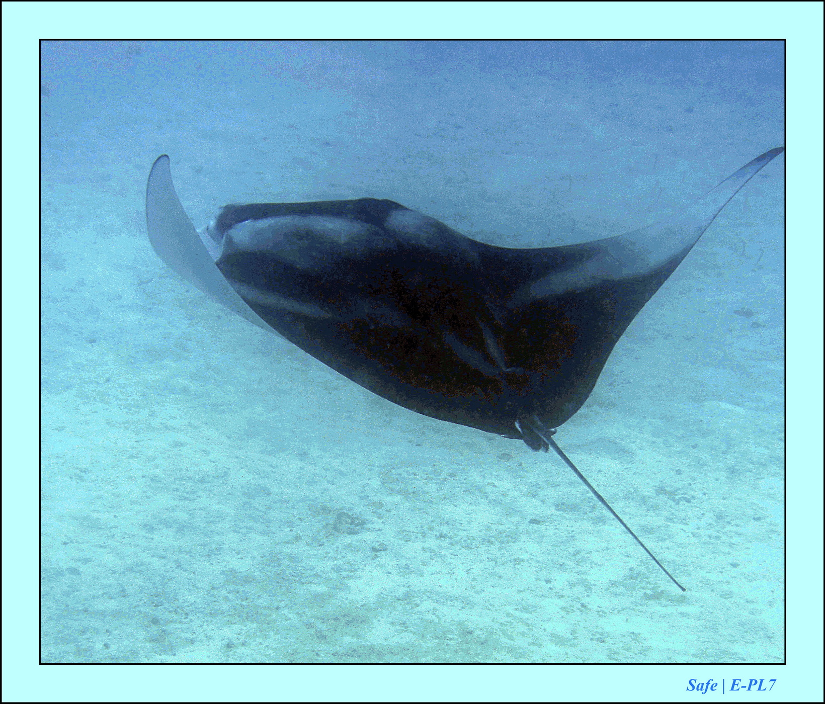 2023 - 07 - Sandies Bathala - 133